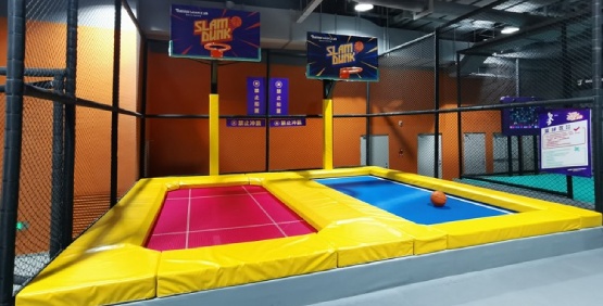 Slam Dunk Basketball